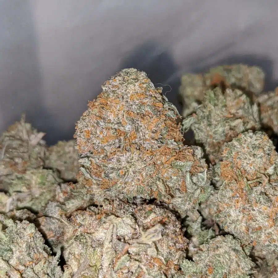 atomic haez 1 I Atomic Haze