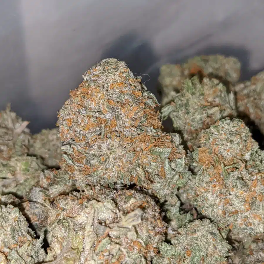 atomic haez 2 I Atomic Haze