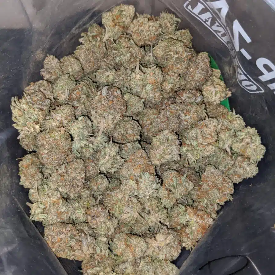 atomic haez 4 I Atomic Haze