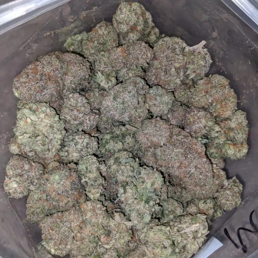 cookies and cream aaa 1 I Cookies And Cream AAA