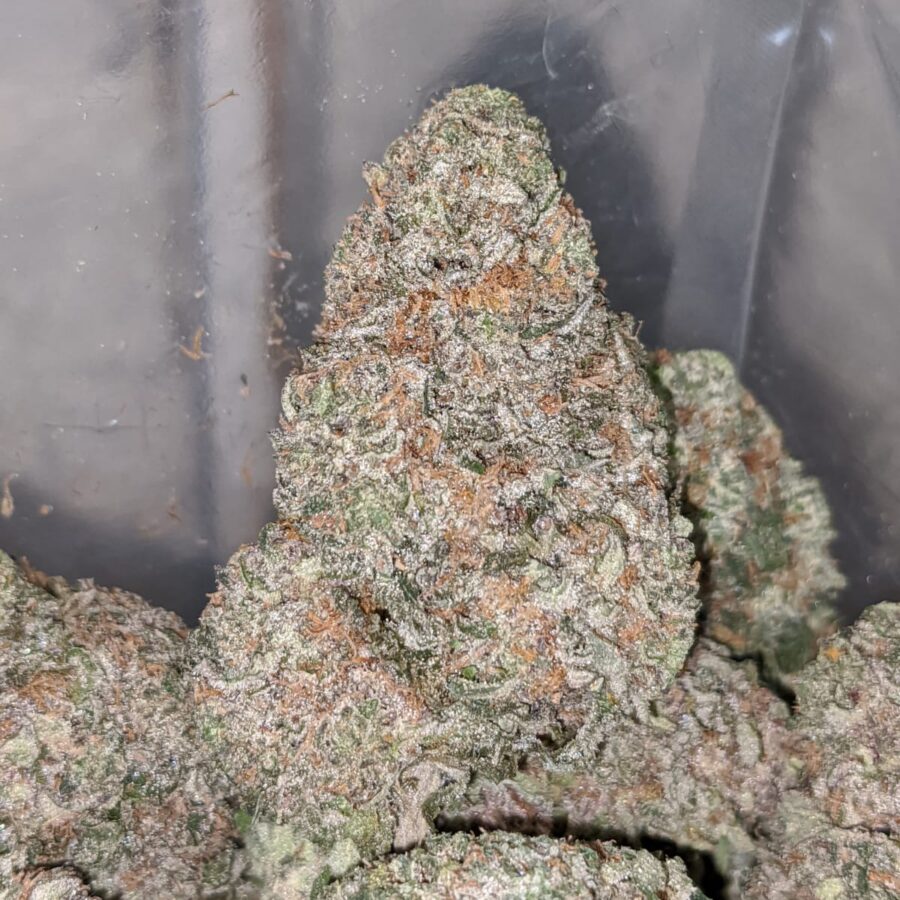 cookies and cream aaa 2 I Cookies And Cream AAA