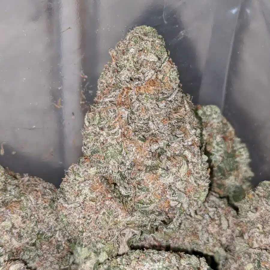 cookies and cream aaa 2 I Cookies And Cream AAA