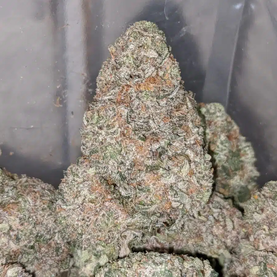 cookies and cream aaa 3 I Cookies And Cream AAA