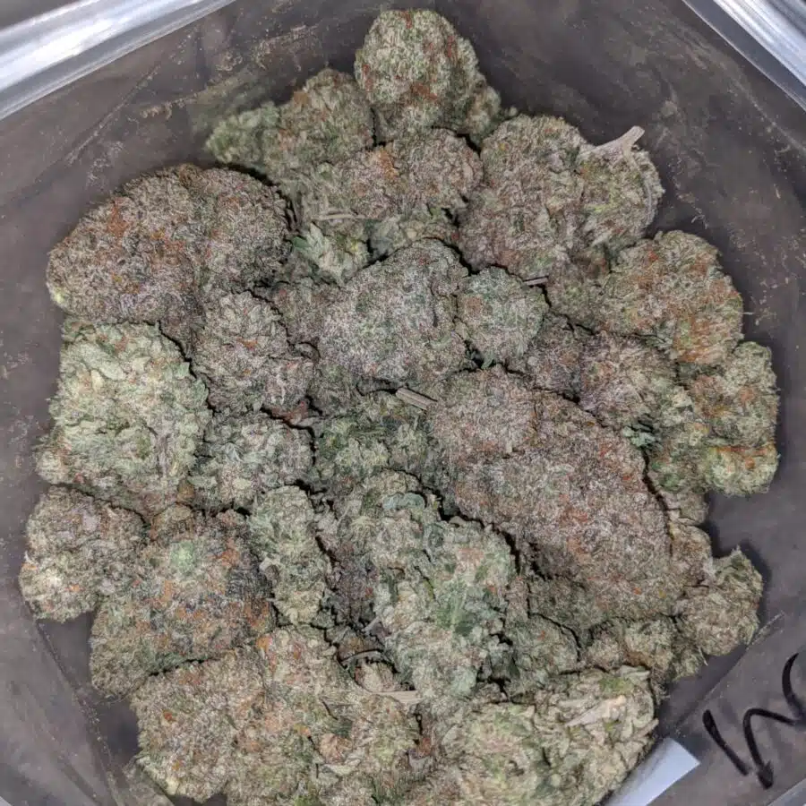 cookies and cream aaa 4 I Cookies And Cream AAA
