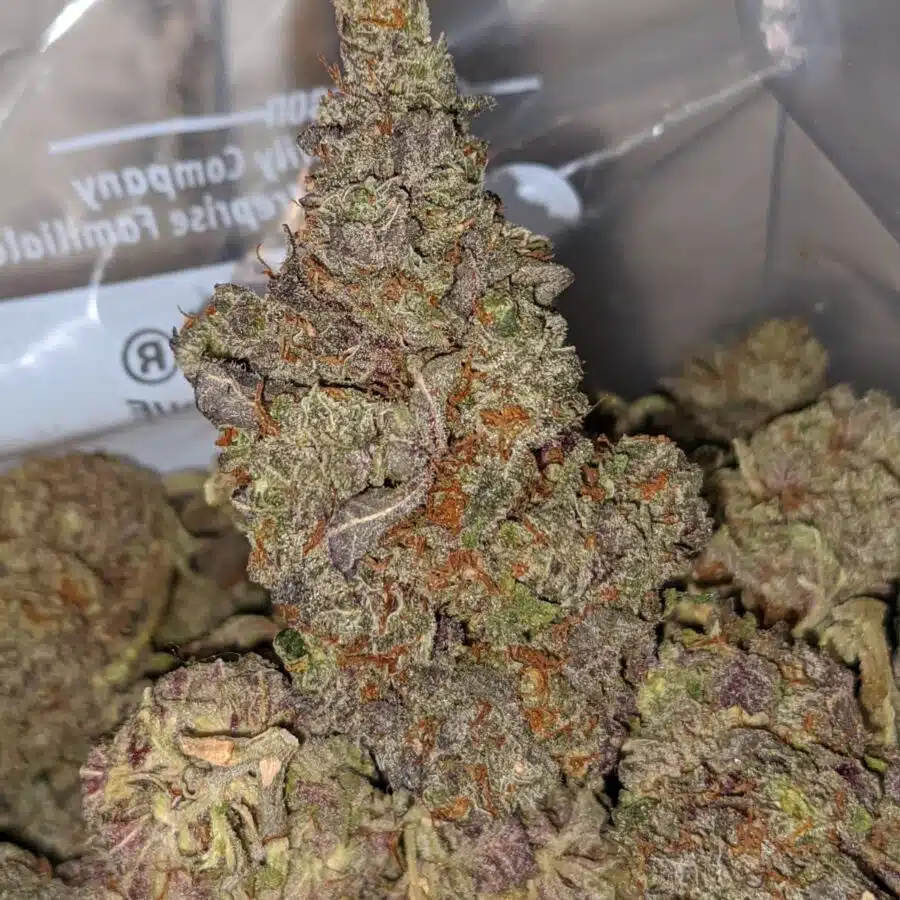 emmas purple dank 1 I Emma's Purple Dank