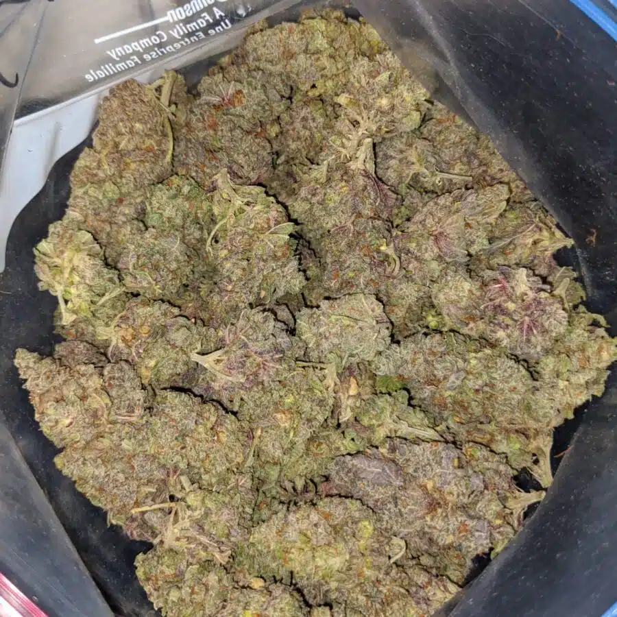 emmas purple dank 4 I Emma's Purple Dank