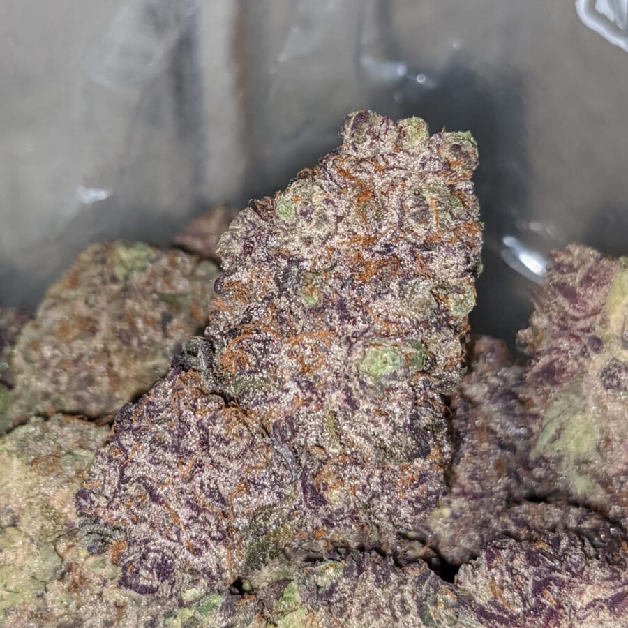 ggc aaaaa 2 I God's Green Crack AAAA