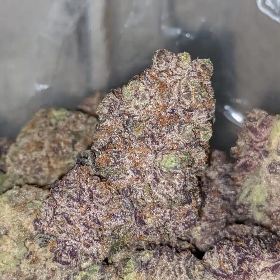 ggc aaaaa 2 I God's Green Crack AAAA