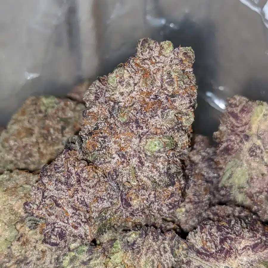 ggc aaaaa 3 I God's Green Crack AAAA