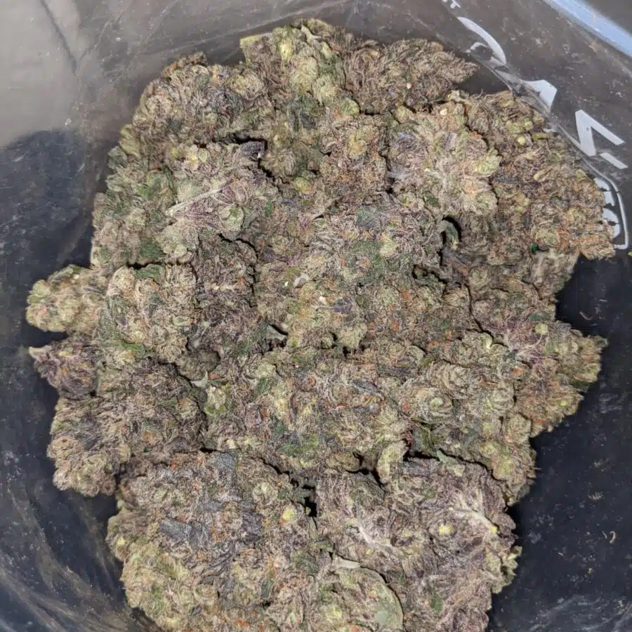 gobbstopper 3 I Gobbstopper