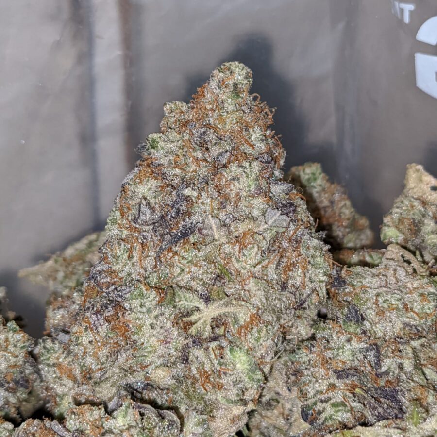 gorilla cookies aaa 1 I Gorilla Cookies AAA