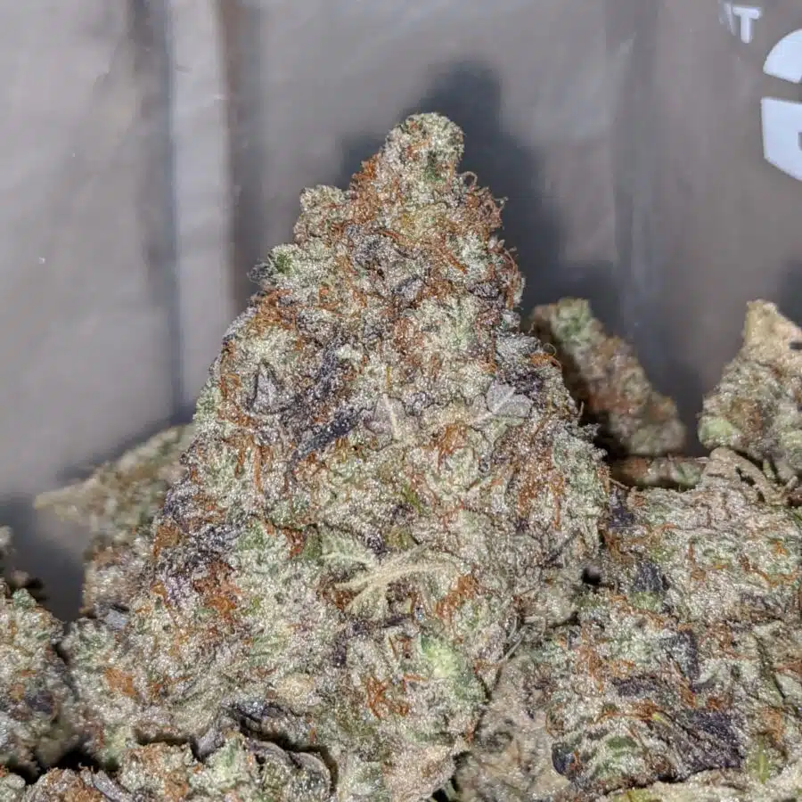 gorilla cookies aaa 1 I Gorilla Cookies AAA