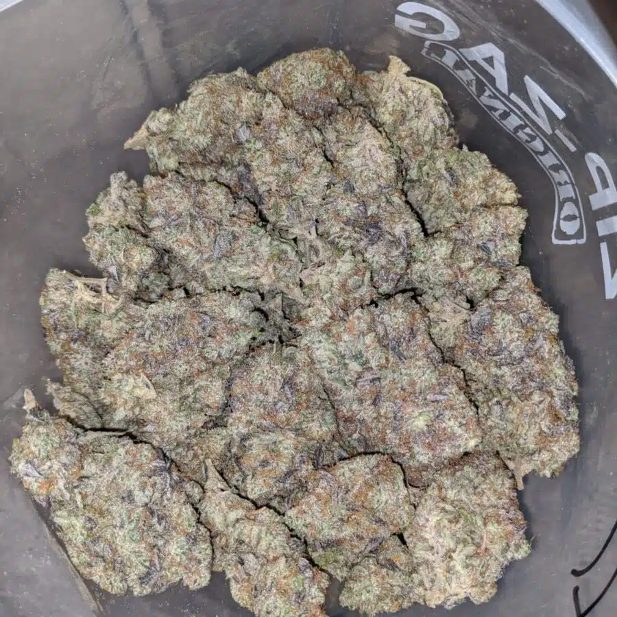 gorilla cookies aaa 4 I Gorilla Cookies AAA