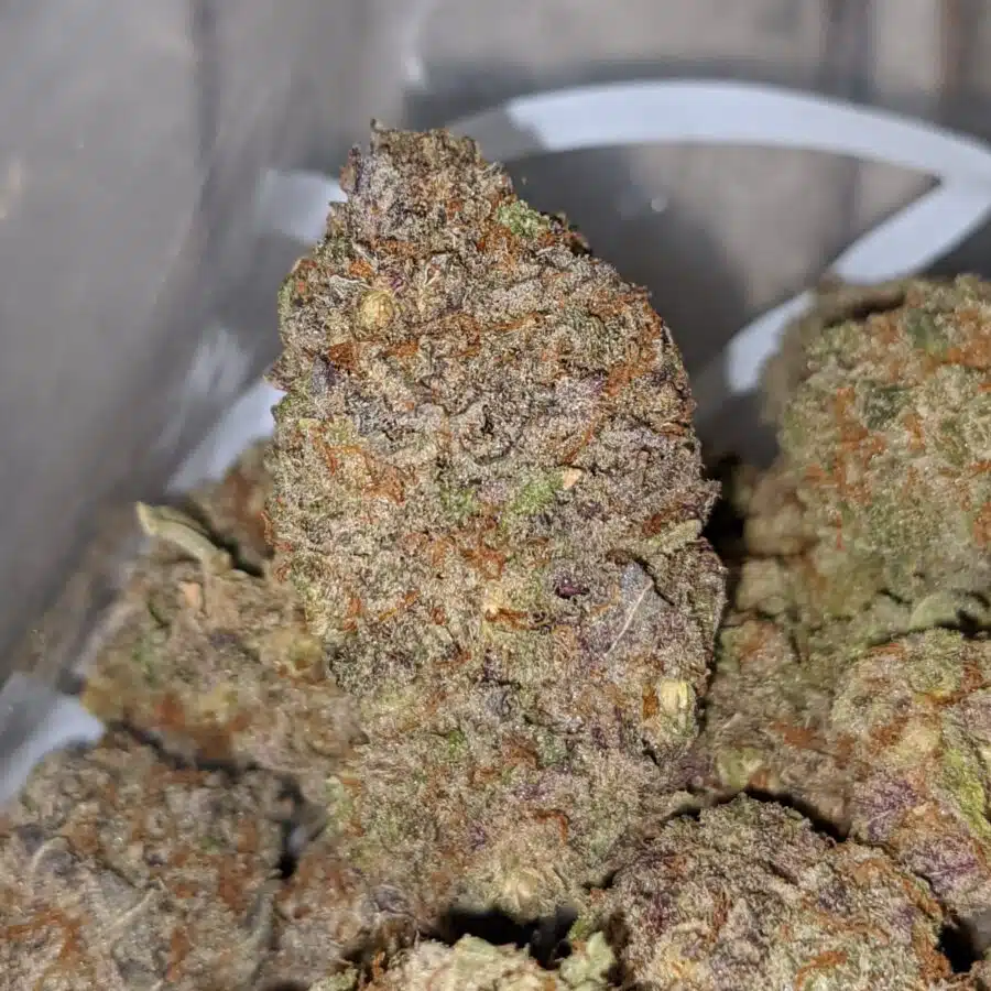grape soda aaa 1 I Grape Soda AAA