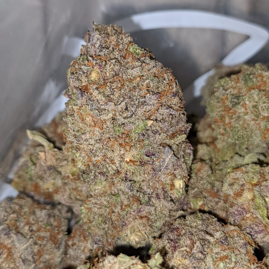 grape soda aaa 2 I Grape Soda AAA