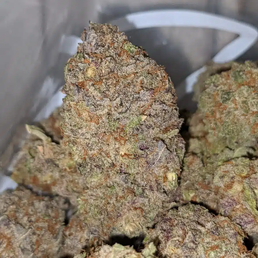 grape soda aaa 2 I Grape Soda AAA
