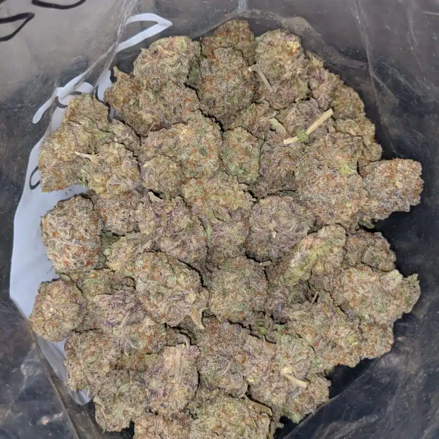 grape soda aaa 4 I Grape Soda AAA