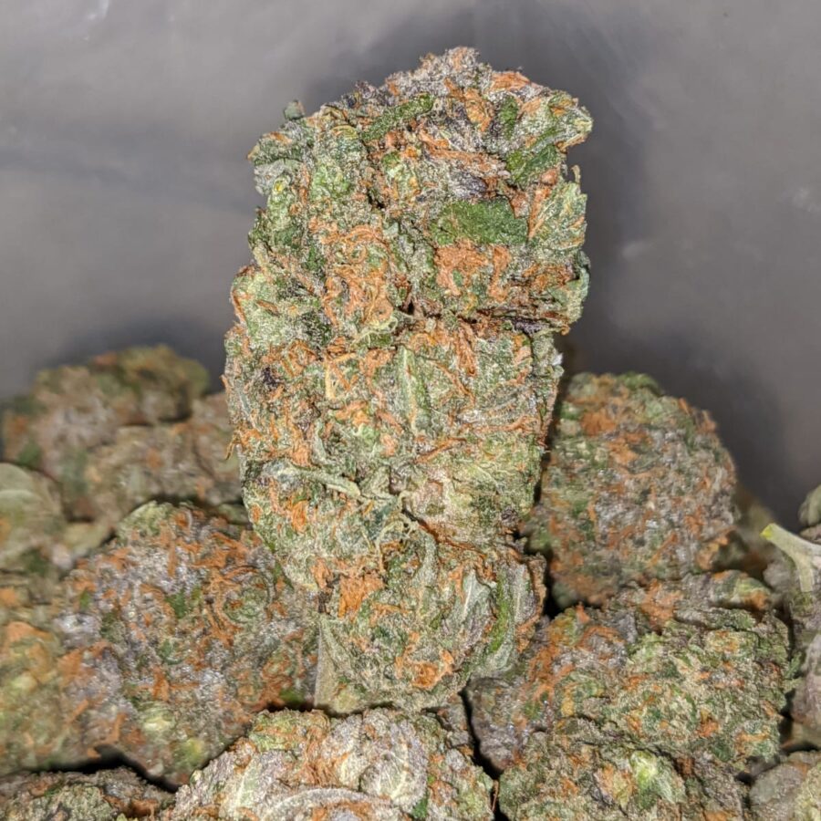 grease monkey 2 1 I Grease Monkey