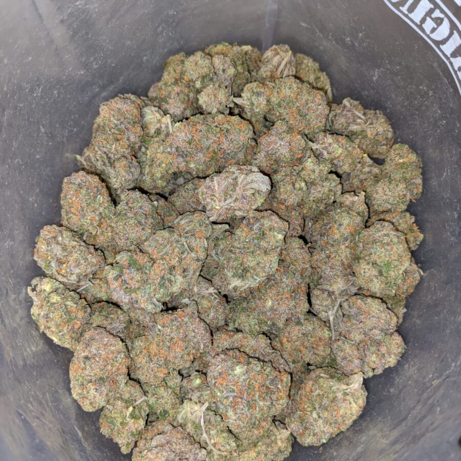 grease monkey 4 1 I Grease Monkey