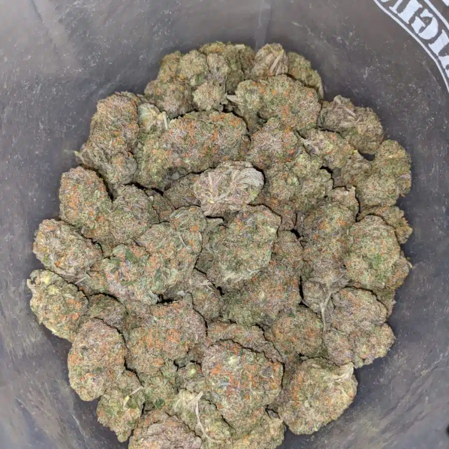 grease monkey 4 1 I Grease Monkey