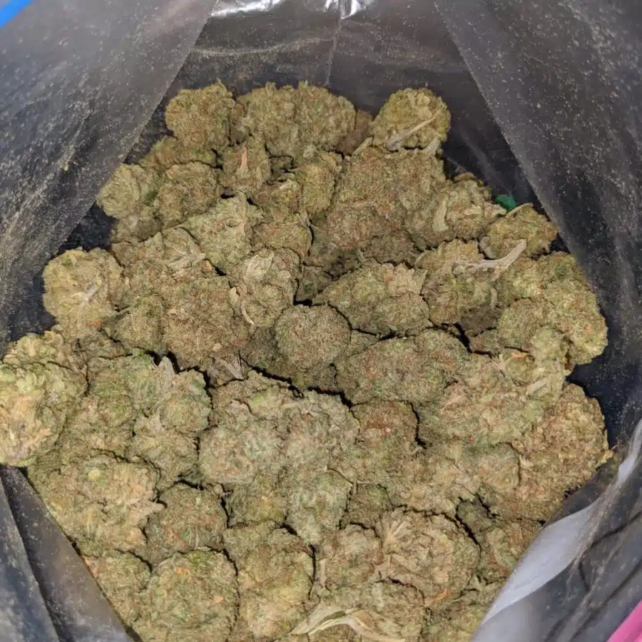 maui wowie dod 3 I Maui Wowie - *Deal of the Day*