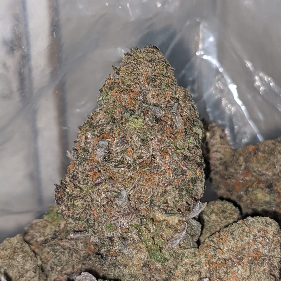 purple sherbert dod 1 I Purple Sherbert - *Deal Of The Day*
