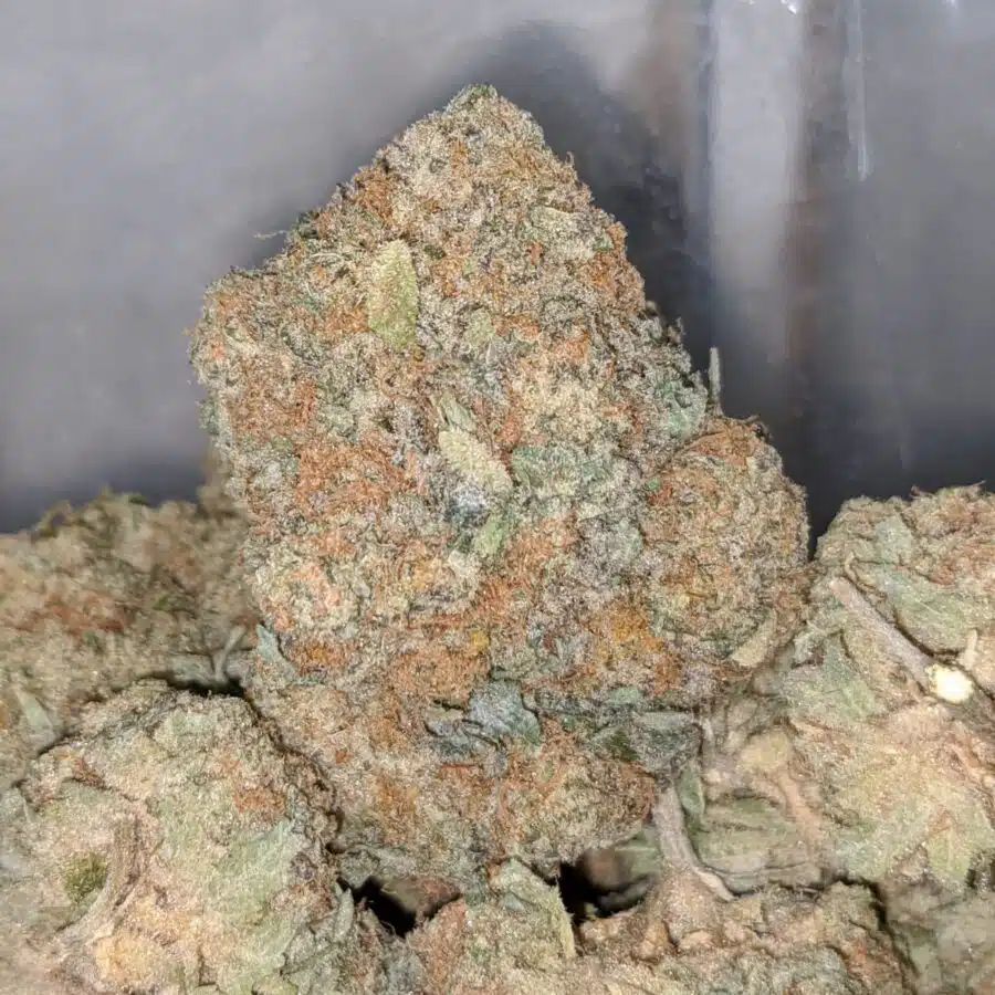 47 sugar cookies 1 I $47 Oz - Sugar Cookies