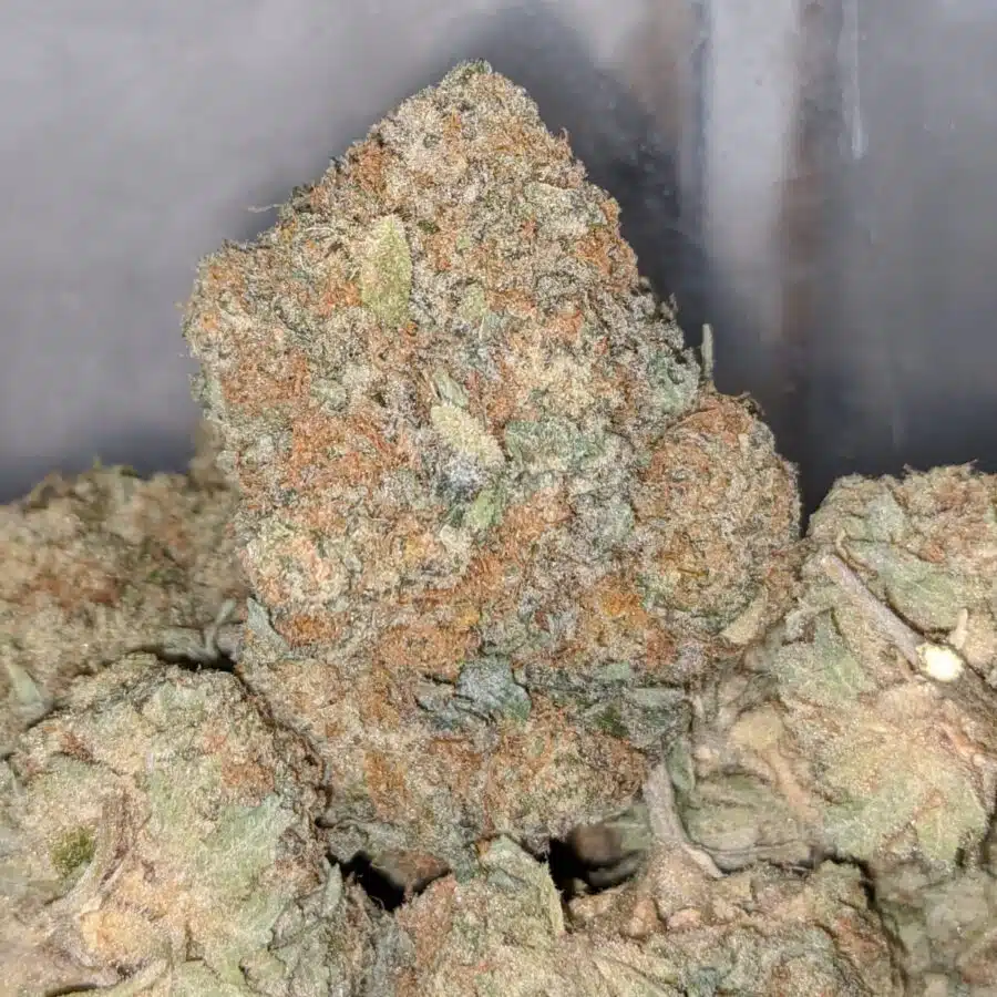 47 sugar cookies 2 I $47 Oz - Sugar Cookies