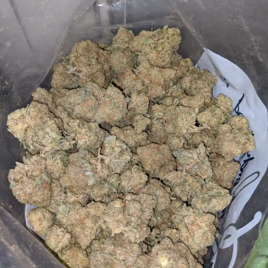 47 sugar cookies 3 I $47 Oz - Sugar Cookies