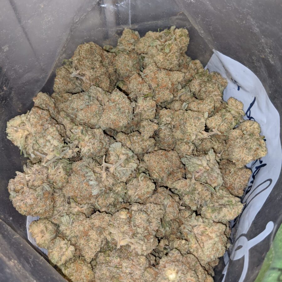 47 sugar cookies 4 I $47 Oz - Sugar Cookies