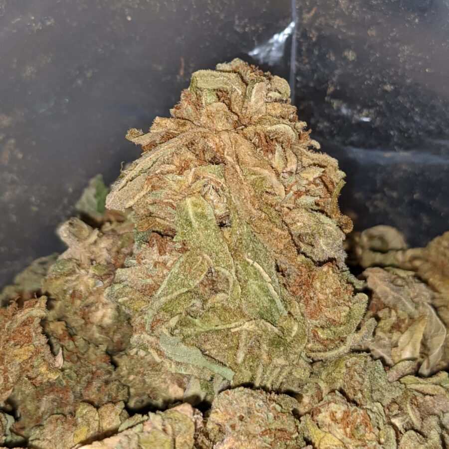 AA Kush - Image 4