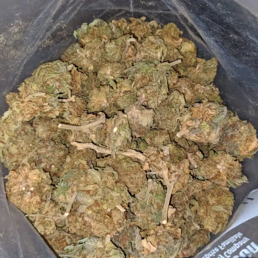 AA KUSH 3 I AA Kush