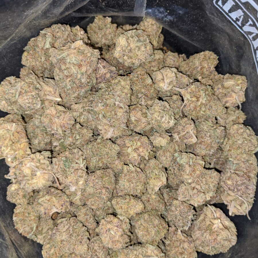 BLACK NUKEN 1 1 I Black Nuken Bulk Special