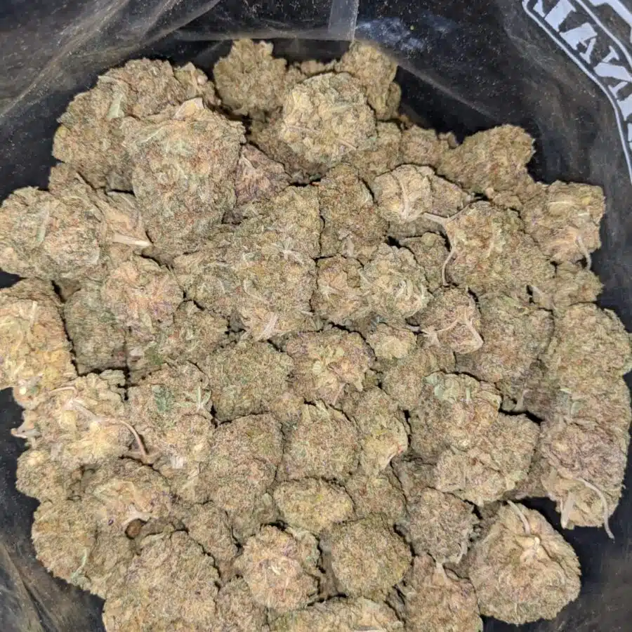 BLACK NUKEN 1 1 I Black Nuken Bulk Special