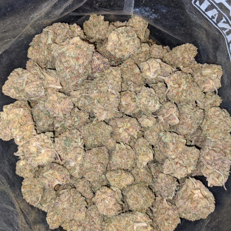 BLACK NUKEN 2 1 I Black Nuken Bulk Special