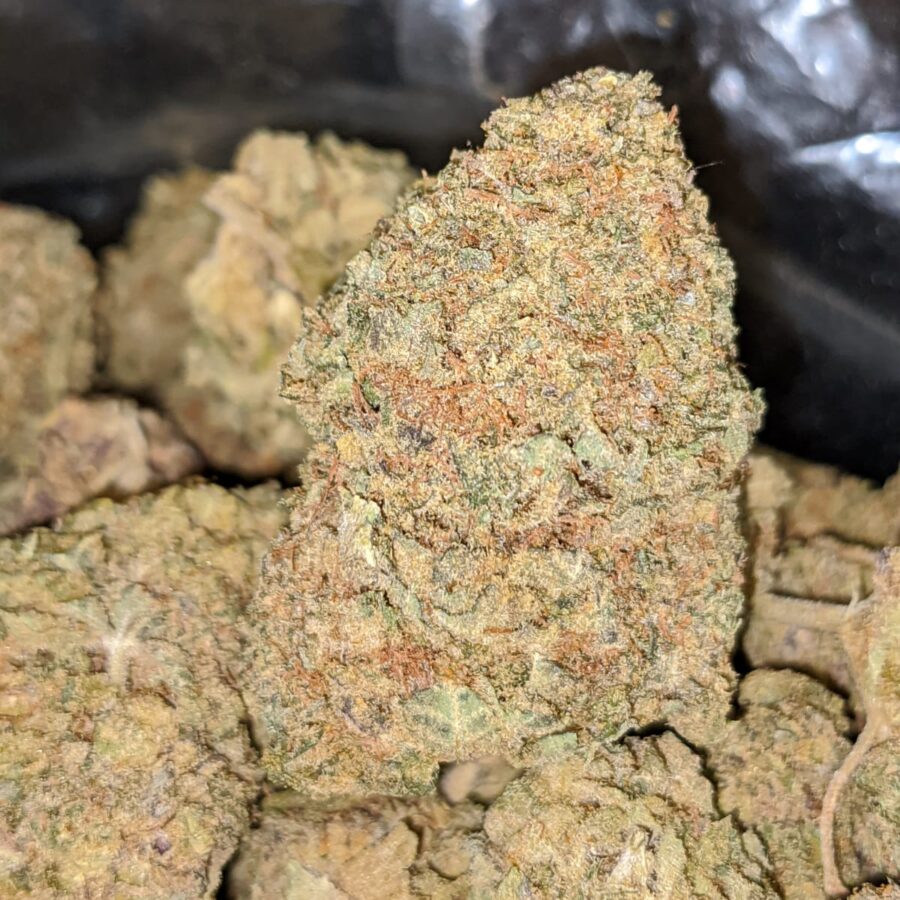 BLACK NUKEN 3 1 I Black Nuken Bulk Special