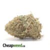 Black Nuken Bulk Special