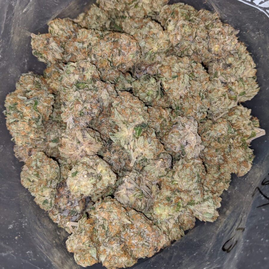 EL JEFE 3 1 I El Jefe 25.50% THC