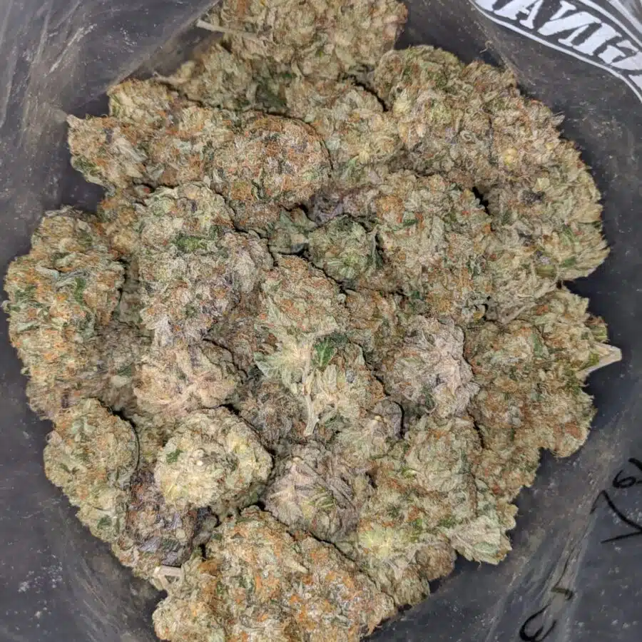 EL JEFE 4 1 I El Jefe 25.50% THC