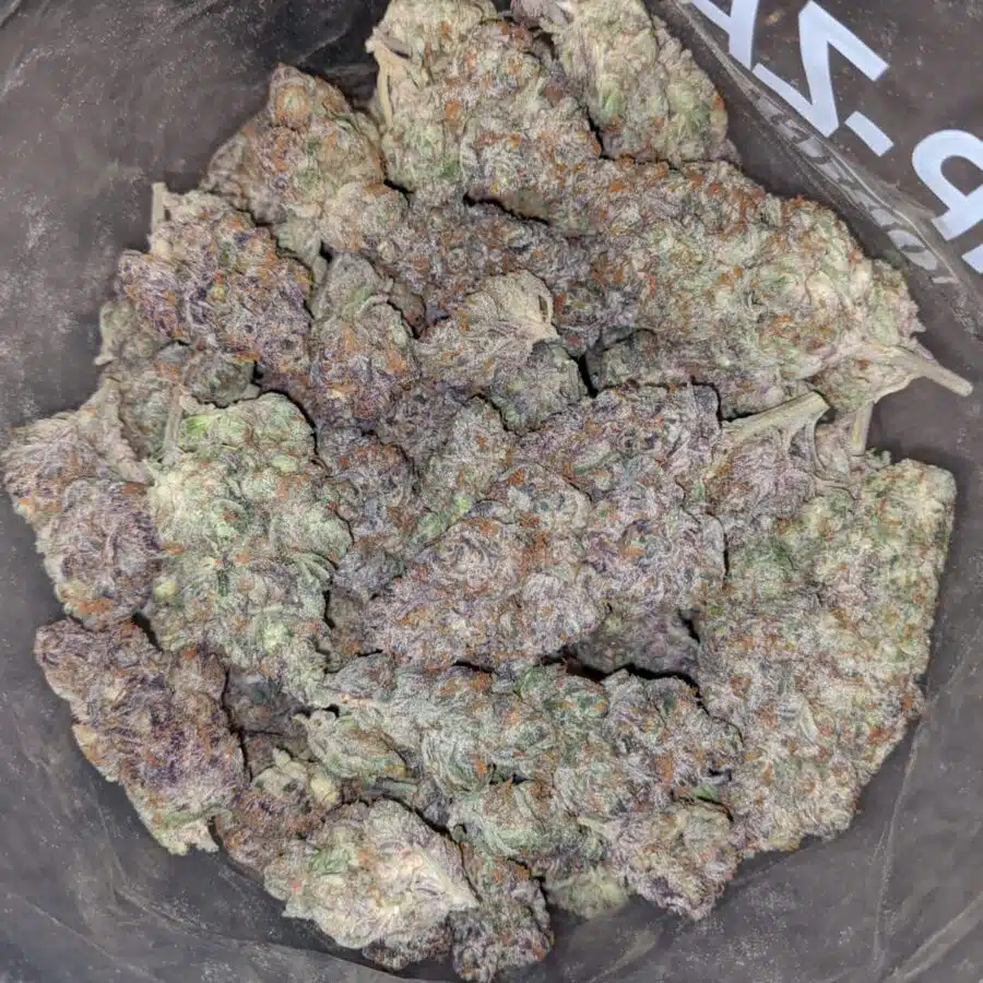 Alternative view of Fruit Gusher