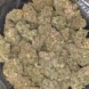 $79 Oz - Gelato #33