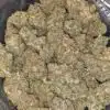 $79 Oz - Gelato #33