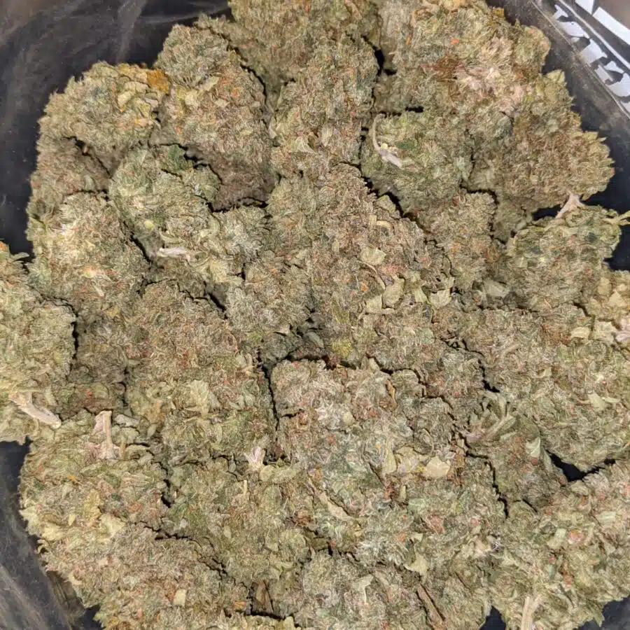 $79 Oz - Gelato #33