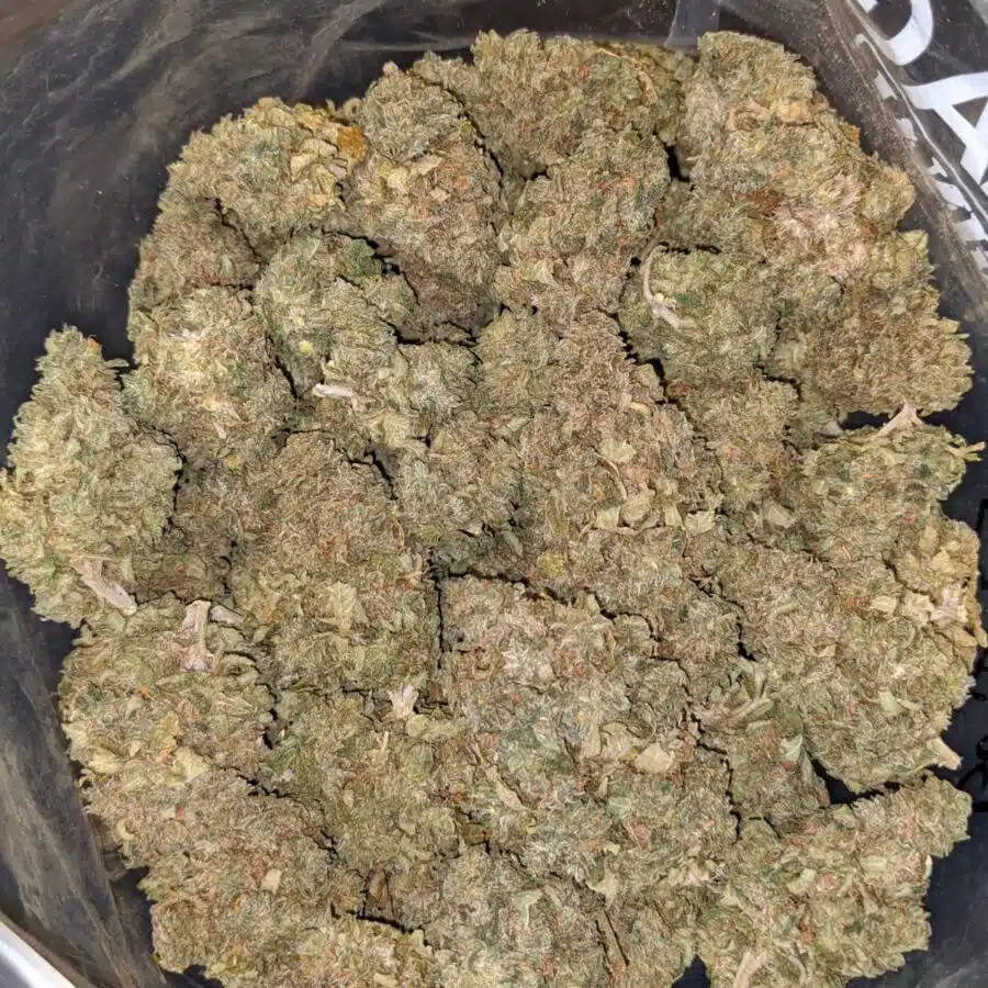 Alternative view of $79 Oz - Gelato #33