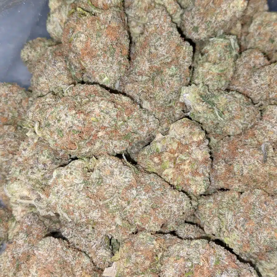 GRAPE COOKIE 2 I Grape Cookies