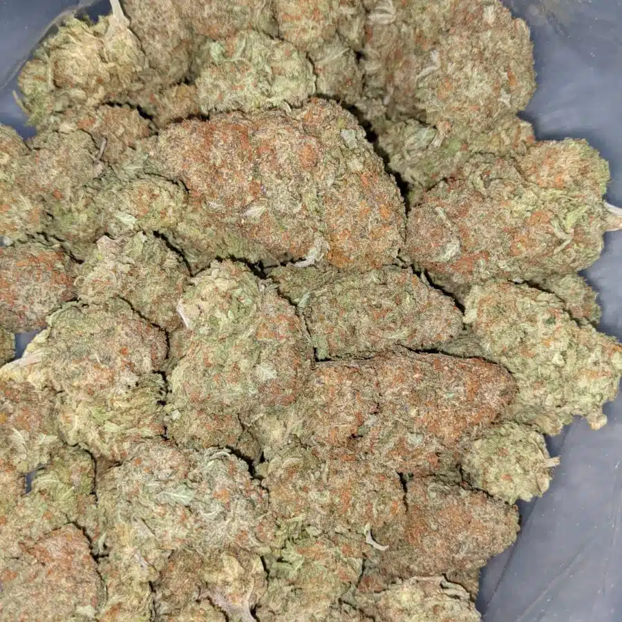 GRAPE COOKIE 3 I Grape Cookies