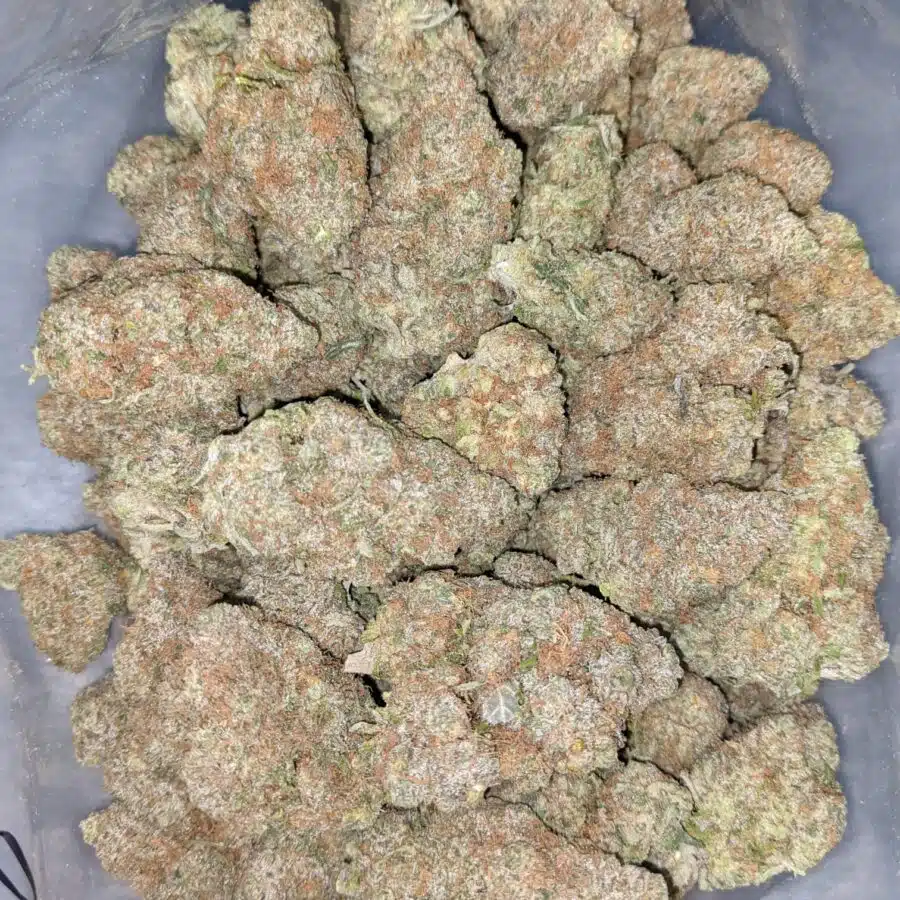 GRAPE COOKIE 5 I Grape Cookies