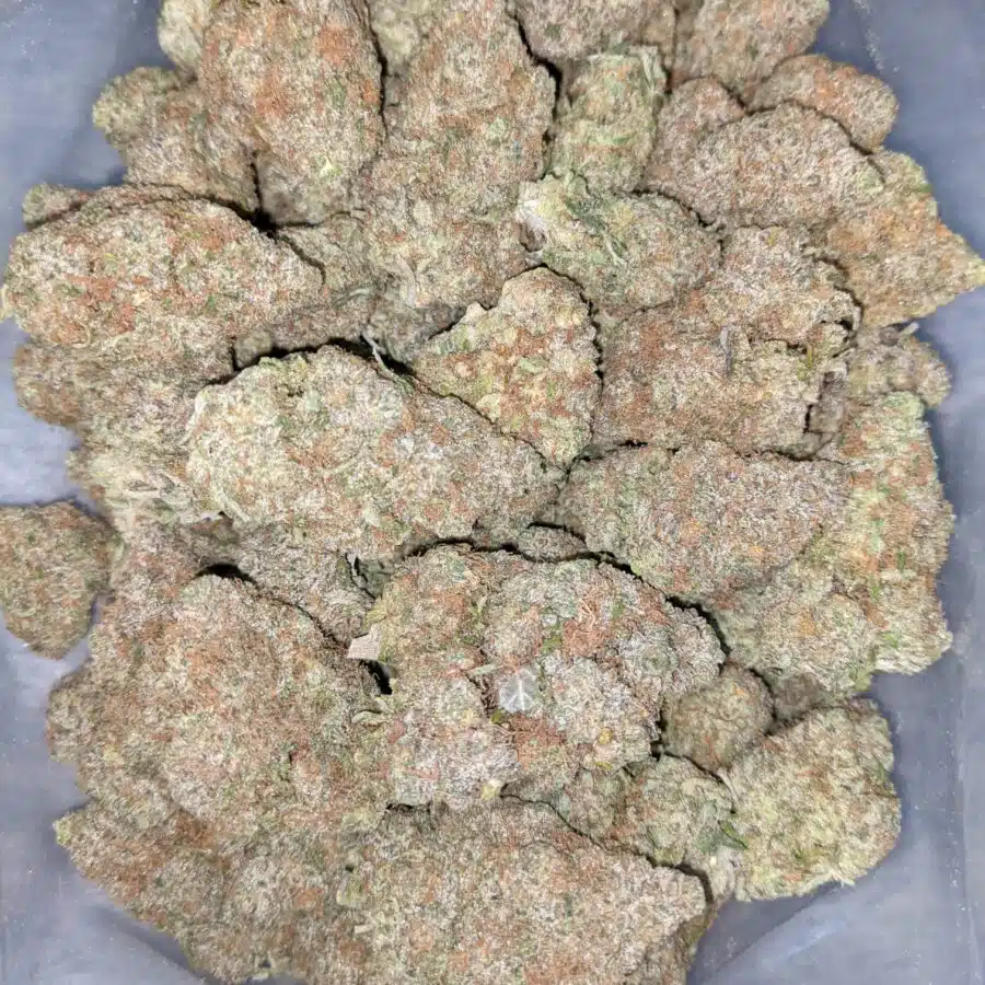 GRAPE COOKIE 6 I Grape Cookies