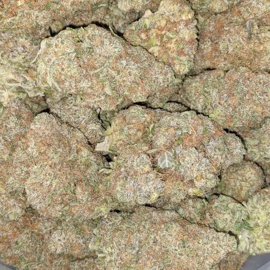 GRAPE COOKIE 7 I Grape Cookies