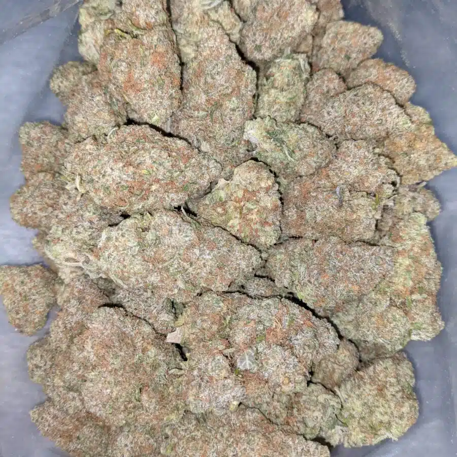 GRAPE COOKIE 8 I Grape Cookies